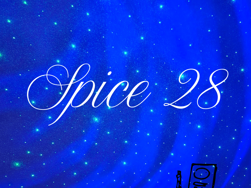 Restaurant Review- Spice&nbsp;28